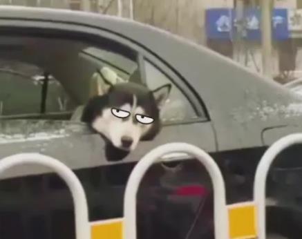 ˞ʲô܇Ӳԭ򼰰YA܇6С