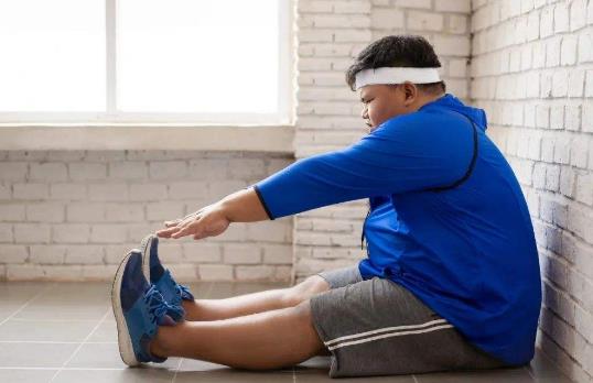 木糖醇和口香糖有什么區別?常吃木糖醇有哪些危害?