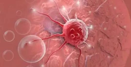 得了癌癥到底還該不該治?癌癥=死亡嗎?