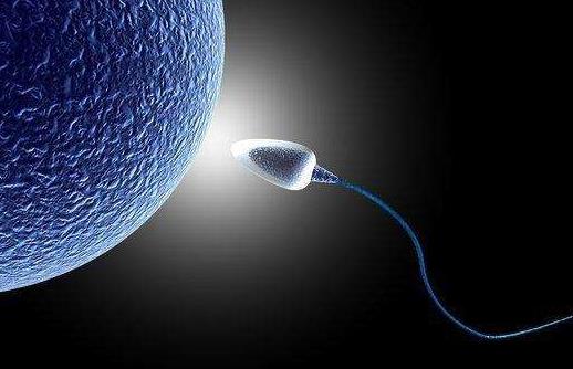 患精囊炎的原因有哪些?精囊炎的癥狀是什么?