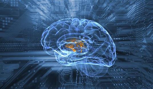 什么是毛蛋?毛蛋有哪些功效?