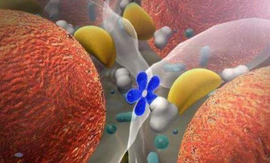 ?孕酮低有哪些危害?孕酮偏低怎么辦?