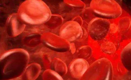 血常規與血沉有什么區別?血沉高的原因有哪些?