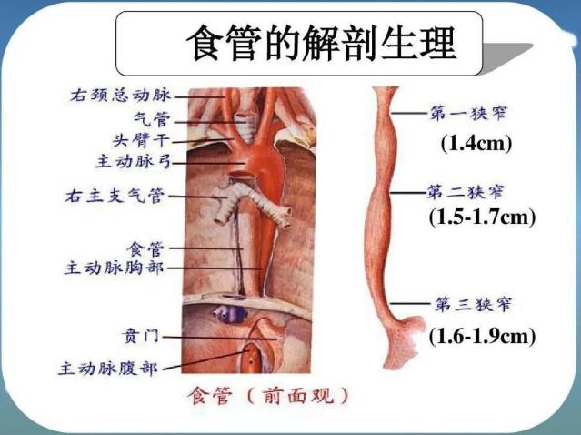 廣東哪家能看好腫瘤暨南大學附屬復大腫瘤醫院
