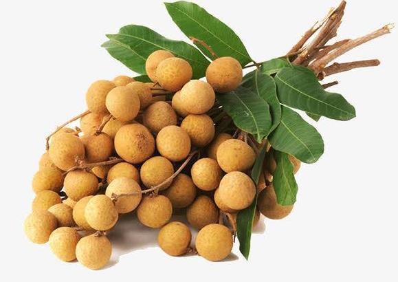 孕婦可以吃龍眼嗎?吃龍眼的好處有什么?