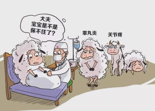 得了布病不能吃哪些食物?得了布病能活多久?