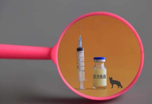 哪些情況需要接種狂犬疫苗?狂犬疫苗要打幾針?