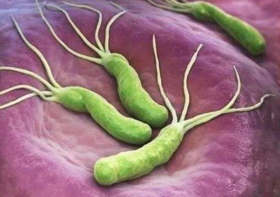 感染幽門螺桿菌易患哪些疾病?和有幽門螺桿菌的人親嘴百分百傳染嗎