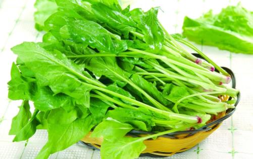 什么疾病會導致經常流鼻血 天氣干燥流鼻血怎么辦