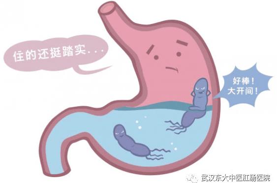 武漢東大肛腸醫(yī)院:專業(yè)致力于腸胃健康