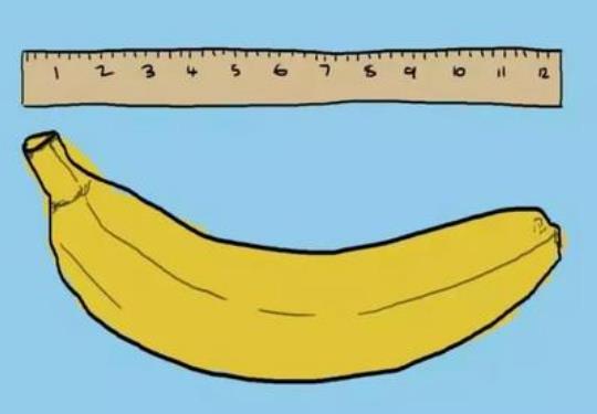 初三男生丁丁發育了嗎?下面發育的多大?丁丁的正確測量方法