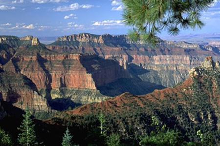 世界上最長(zhǎng)的裂谷帶是什么?東非大裂谷的形成原因