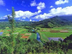 世界上最高的高原是什么?青藏高原的形成原因