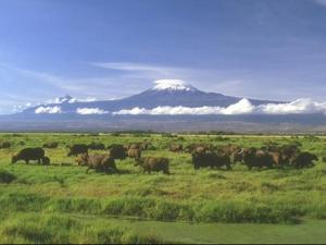 世界上最大的高原是什么?巴西高原的氣候特征