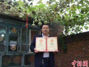 河北唐山一株葫蘆秧生421個葫蘆娃創世界紀錄