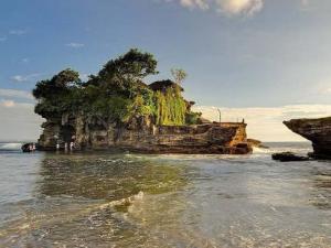 世界之謎:澳大利亞洛豪德島的海盜遺產