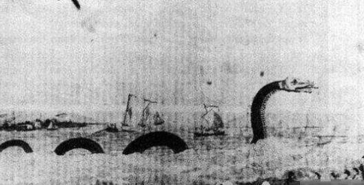 世界上最大的海蛇 巨型大海蛇長(zhǎng)18米 未被證實(shí)的生物