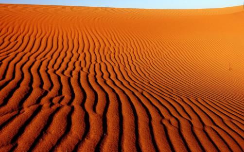 南美洲最大沙漠 巴塔哥尼亞沙漠 擁有最大恐龍化石