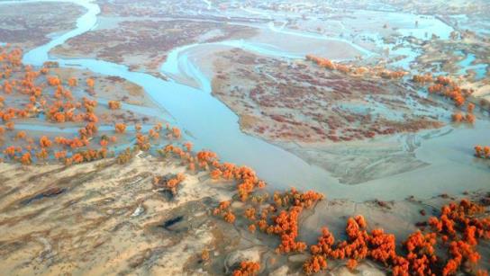 第一大內(nèi)陸盆地 塔里木盆地光照豐富油氣資源好