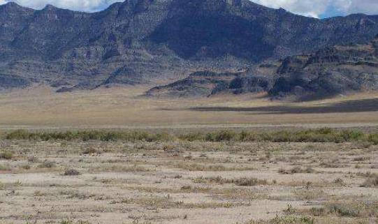 美國最大的盆地 美國大盆地涵蓋492,000平方公里不毛之地