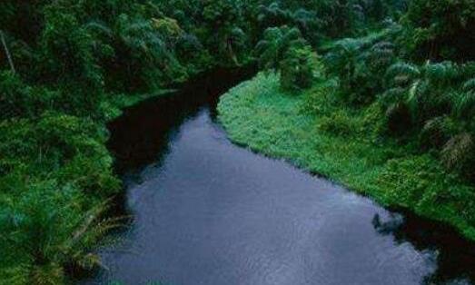 世界上最深的河 剛果河平均深達200多米