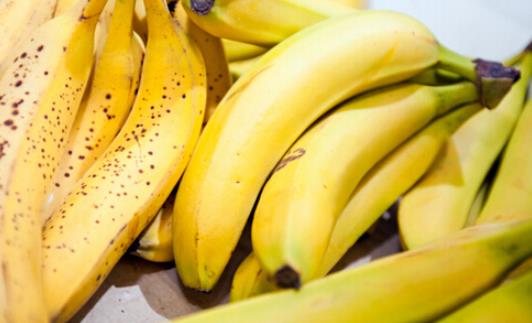 世界上最大的香蕉 巴布亞新幾內亞香蕉平均重4斤、長30厘米