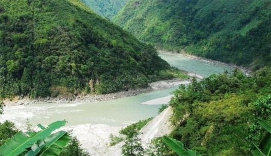 中國生物多樣性最豐富的峽谷 雅魯藏布大峽谷光維管束植物就3500余種