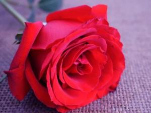 õ廨Zõ廨ʲôx õ廨ZɫʲôԢ