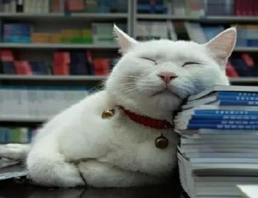 3һ4cʧ߳ʲôˎãʧһ֏ͣ