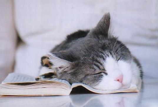 秒入睡的人身體是不是很好?晚上睡覺容易醒反復(fù)多次怎么改善