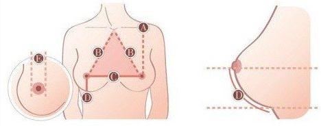 湖北高校校花評選:湖北評高校校花要求“雙乳間距超20厘米”