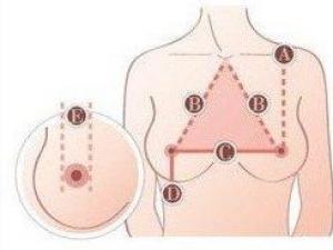 湖北高校校花評選要求 雙乳間距要超20厘米