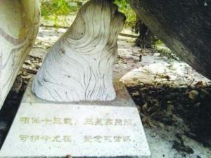 紫金山麓天價狗墓 官方“狗墓系雕像遭業主曲解”