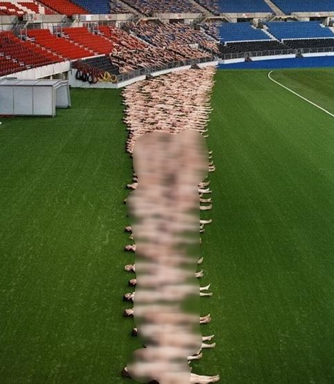 �w�������w�О�ˇ�g��ʮ���f�˼��wȺ�������^����ˇ�g�M�е����cɫ��Q�o�Pϵ