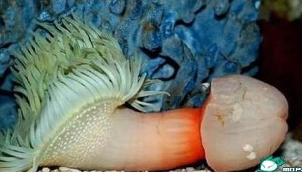 ���@���@��ʲô���������L��������������b��