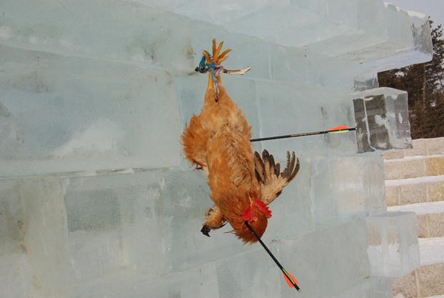 吉林延吉冰雪節為吸引游客,驚現活雞當靶供游客射殺組圖