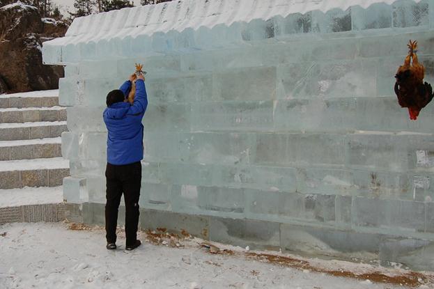 吉林延吉冰雪節為吸引游客,驚現活雞當靶供游客射殺組圖