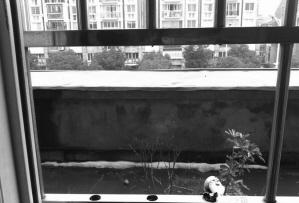 大年初一竊賊剪防盜窗不銹鋼管入室盜竊,偷走5歲男童壓歲錢留下紅包(圖)