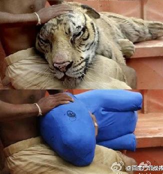 �]����Ч�Ӱ�D�߼t���Ӱ������Чǰ�󌦱ȈD�߼t