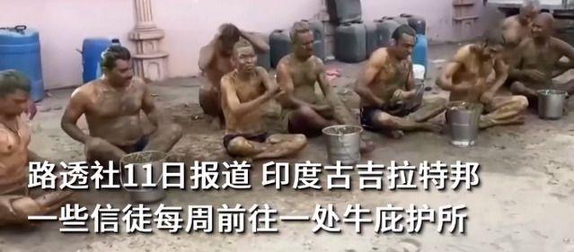 印度民眾涂滿牛糞抵御新冠,專家警告牛糞能抵御新冠病毒沒科學依據