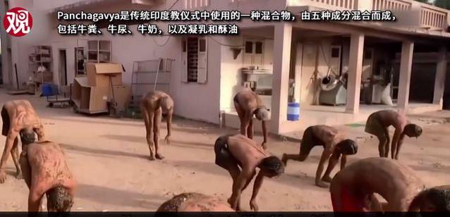 印度民眾涂滿牛糞抵御新冠,專家警告牛糞能抵御新冠病毒沒科學依據