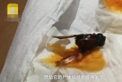 消費(fèi)者曝光衛(wèi)龍辣條火鍋吃出蟲子 網(wǎng)店客服卻稱香茅草發(fā)脹后就這樣