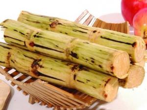 哺乳期能吃甘蔗嗎?哺乳期吃甘蔗有什么好處