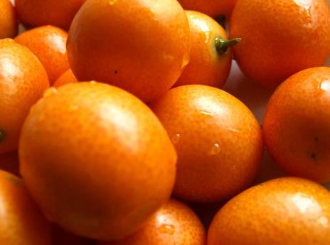 �������ܳԽ�ۆ᣿�����ڳԽ�۵�����