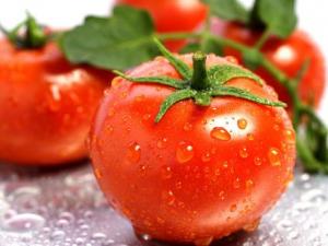 產婦能吃西紅柿嗎?產婦吃西紅柿的做法