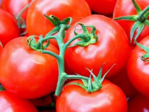 哺乳期能吃西紅柿嗎?哺乳期吃西紅柿的做法