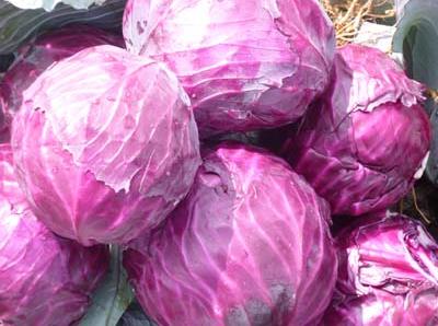 �����ڳ��ϸ��{��ʲô��̎�������ڳ��ϸ��{������