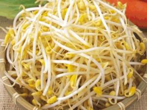 哺乳期吃黃豆芽有什么好處?哺乳期吃黃豆芽的做法