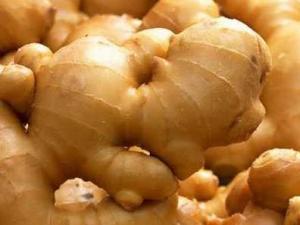 哺乳期吃生姜有什么好處?哺乳期吃生姜的做法