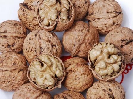 �������ܳԺ��҆᣿�����ڳԺ��ҵ�����